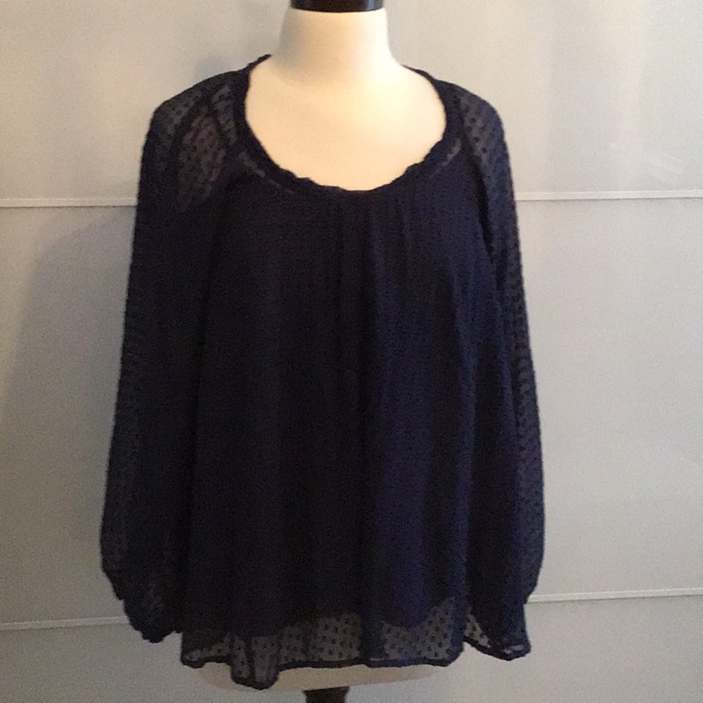 Elegant Navy Blue Silk Sheer Women's Top With Removable Cami